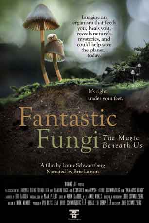 Fantastic-Fungi