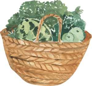 Vegetable-Basket