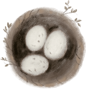 egg-nest