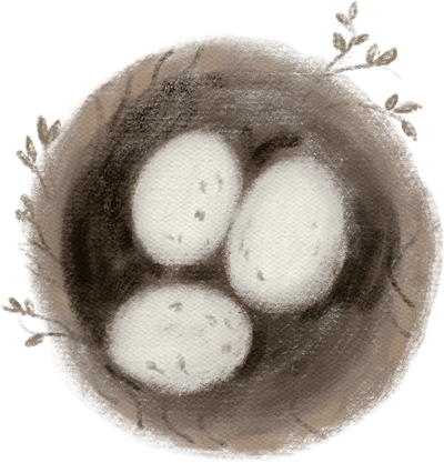 egg-nest